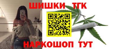 стаф Шелехов