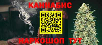 стаф Шелехов