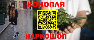 стаф Шелехов