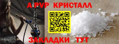 стаф Шелехов