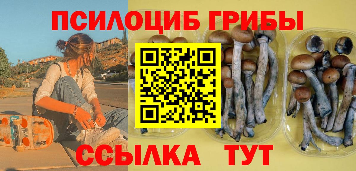 Галлюциногенные грибы мицелий  Вход с VPN  хочу наркоту  Верхний Уфалей 